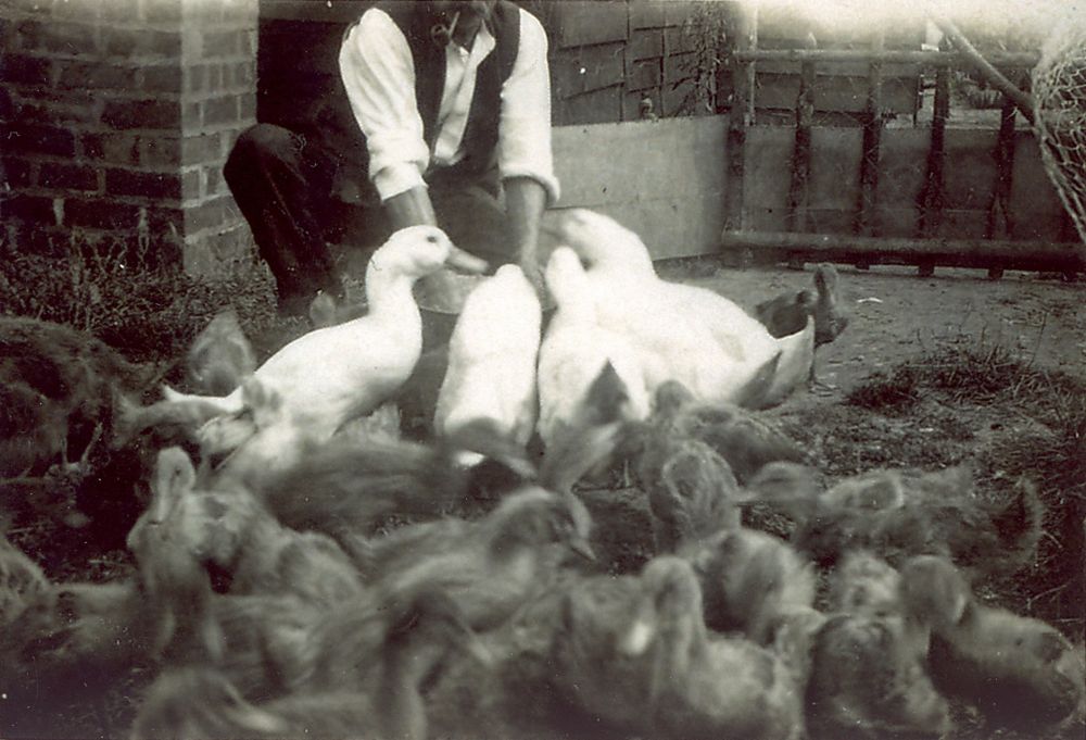Ben with ducks and ducklings