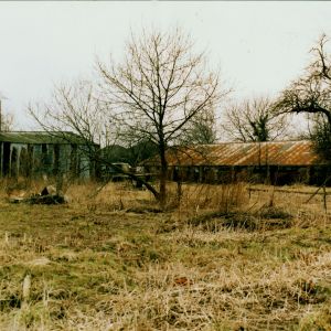 Piggeries on site of diving school 2