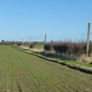 Anti-aircraft posts, Colton Lane